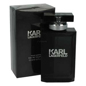 Karl Lagerfeld Pour Homme Edt 100 ml